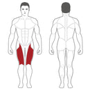 Steelflex Plate Load Leg Extension - PLLE-BR