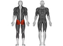 Steelflex Plate Load Hip Thruster Machine - PLHT-BR