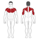 Steelflex Plate Load Series 2 Chest/Shoulder Machine - PL2100-BR