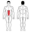 Steelflex Plade Load Abdominal Crunch PLAC-BR