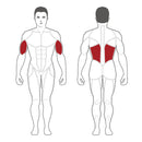 Steelflex Plate Load Lat Pull Down - PLLA-BR