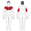 Steelflex Plade Load Bench Press - PSBP-BR